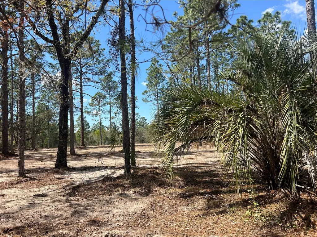 16 SE 136 Terrace Dunnellon FL 34431