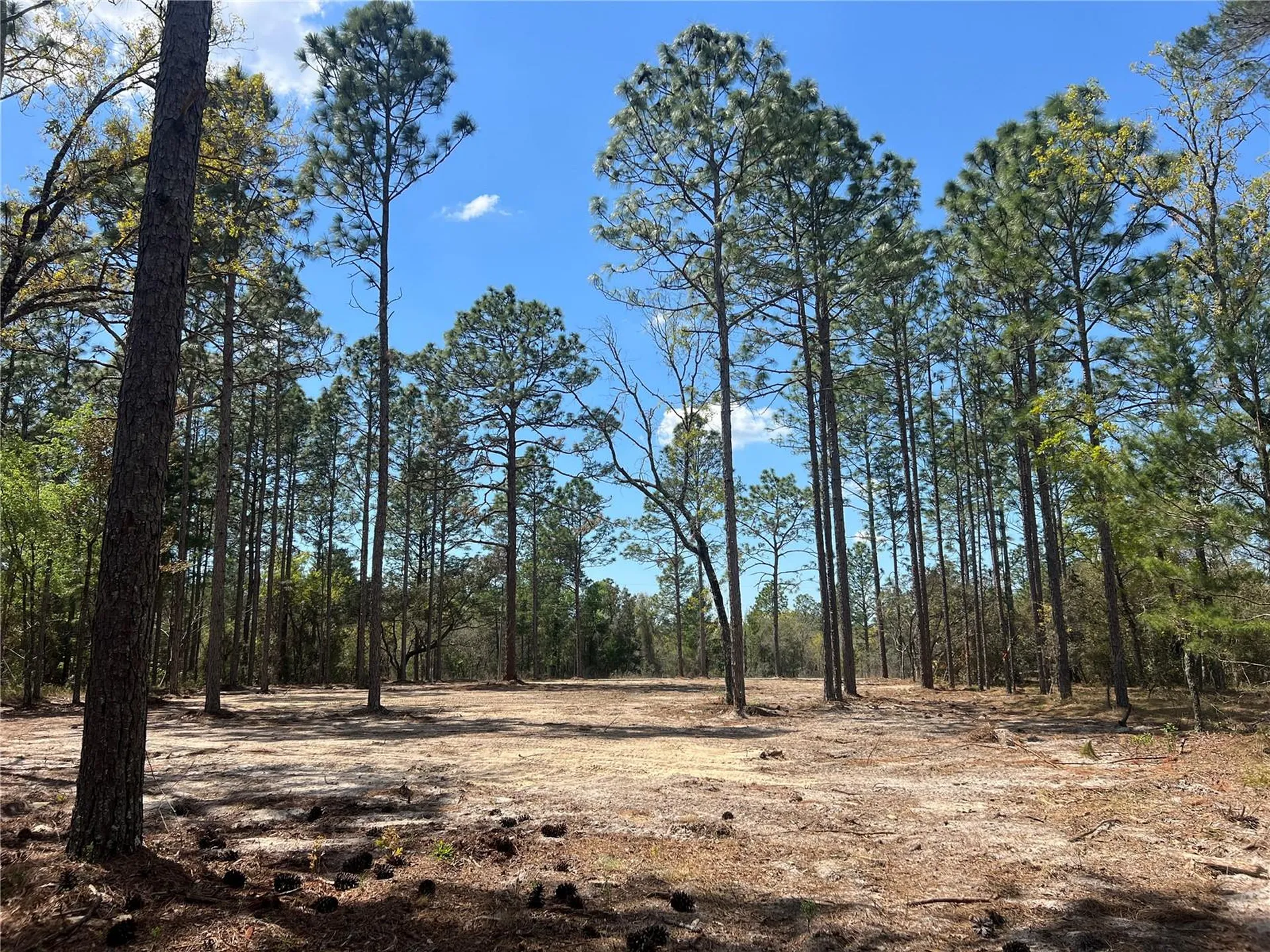 16 SE 136 Terrace Dunnellon FL 34431