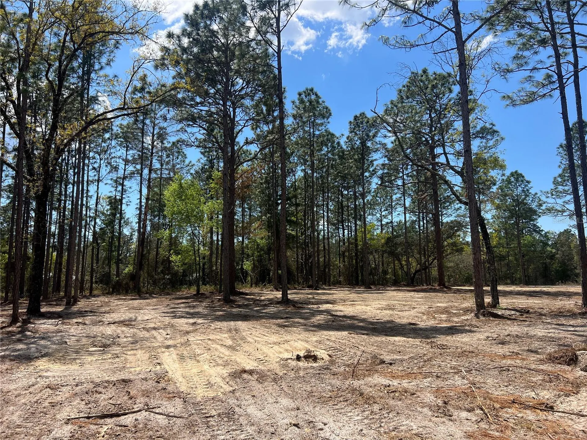 16 SE 136 Terrace Dunnellon FL 34431