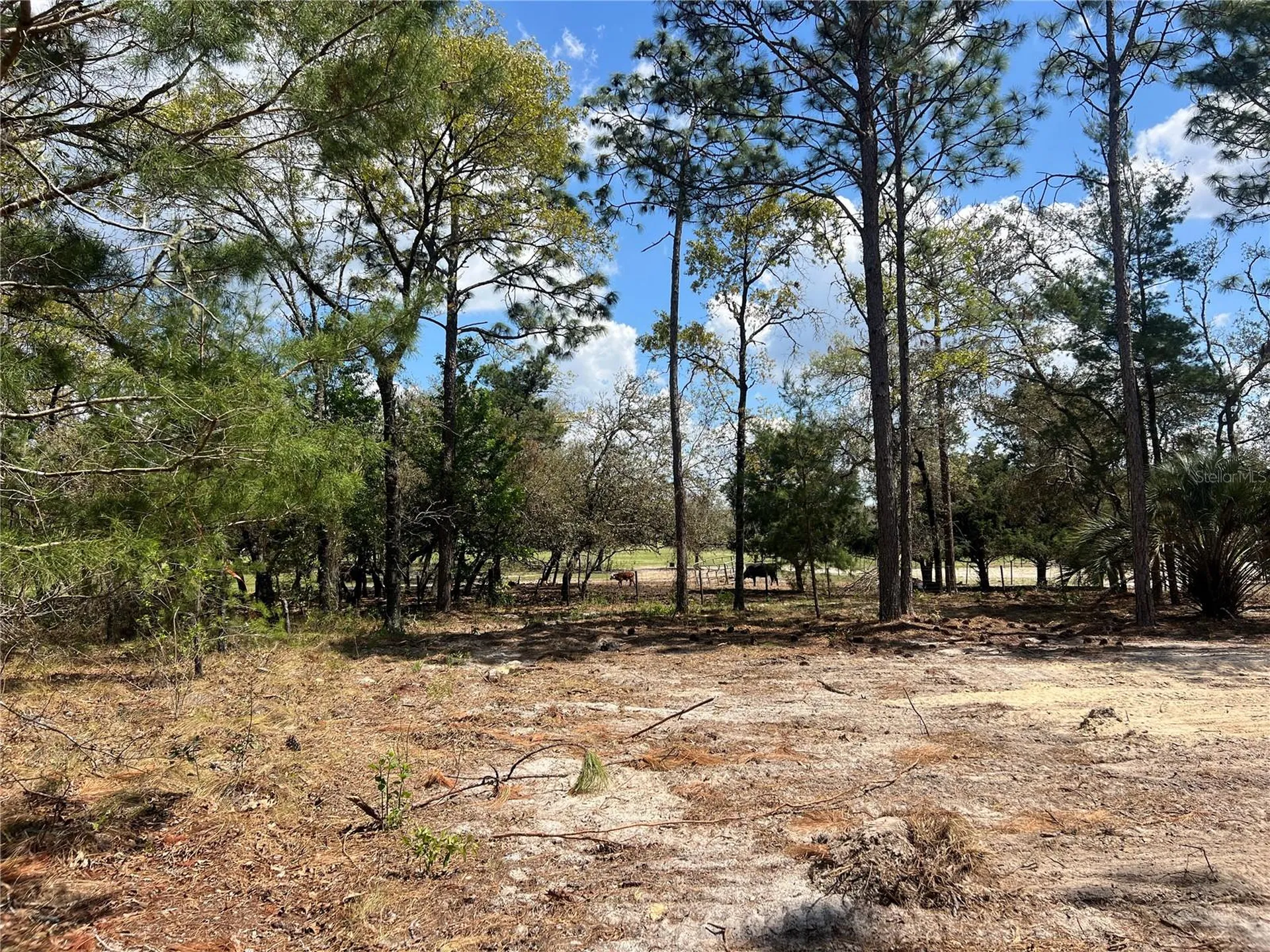 16 SE 136 Terrace Dunnellon FL 34431