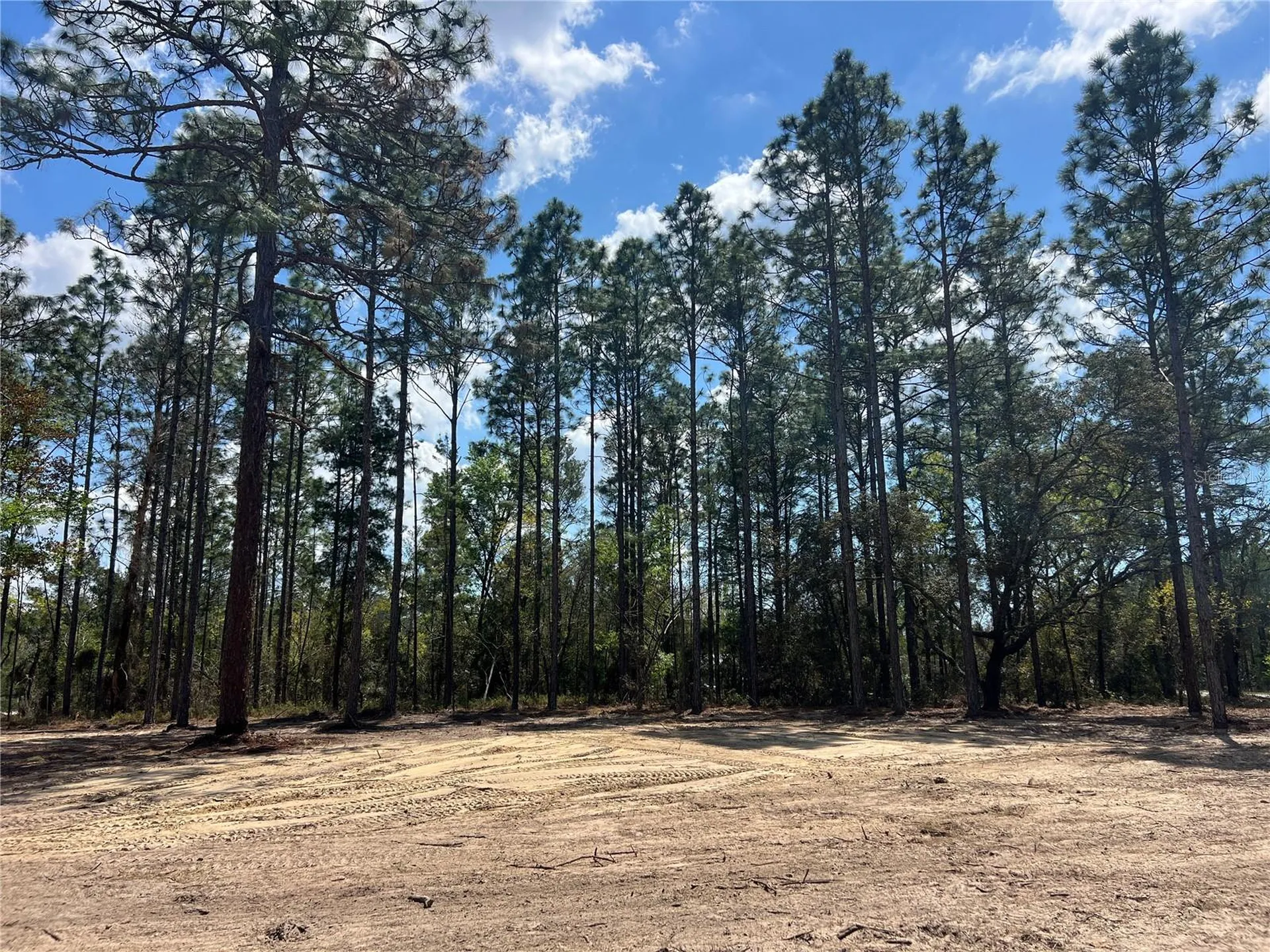16 SE 136 Terrace Dunnellon FL 34431
