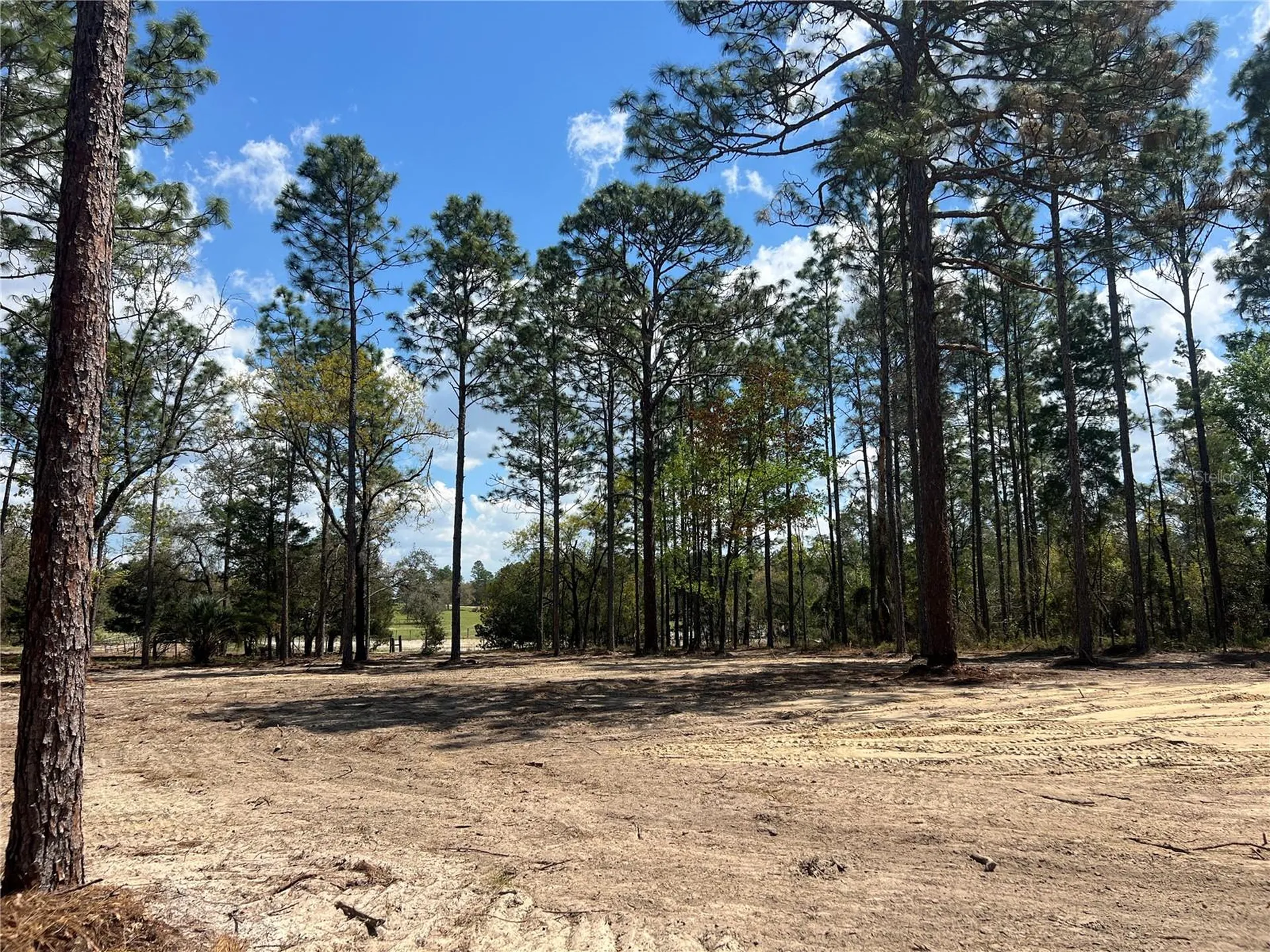 16 SE 136 Terrace Dunnellon FL 34431