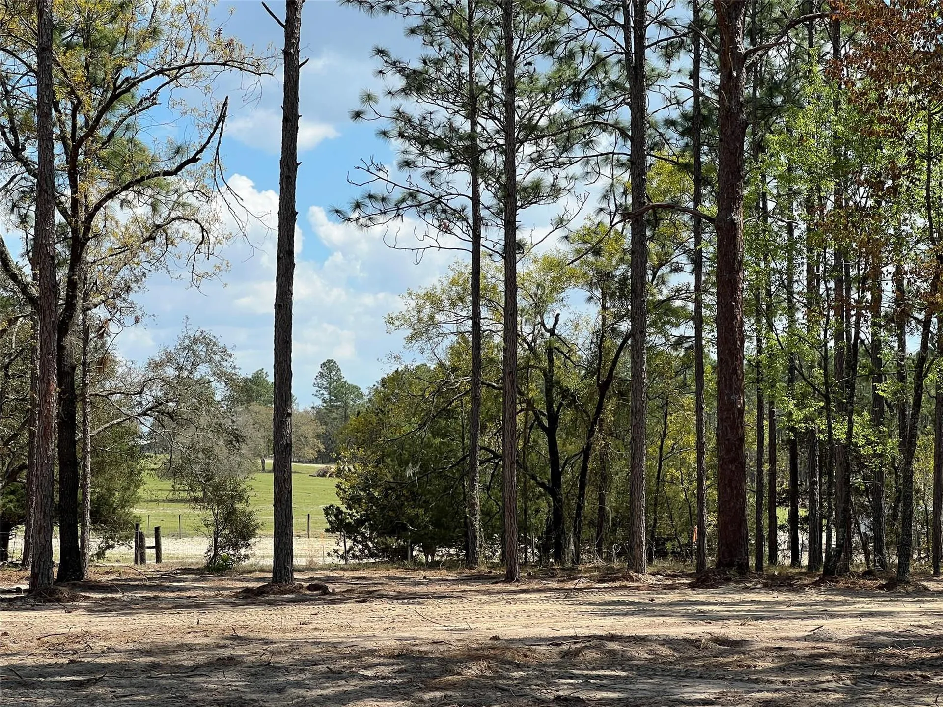 16 SE 136 Terrace Dunnellon FL 34431