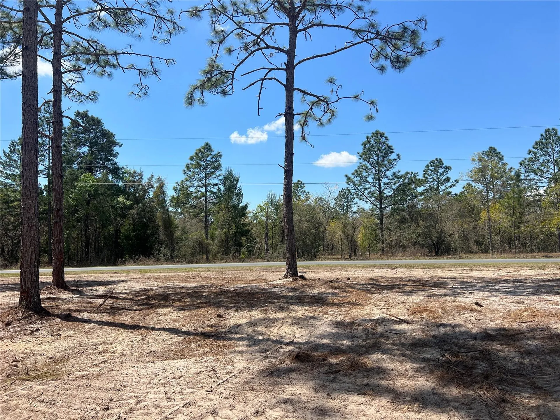 16 SE 136 Terrace Dunnellon FL 34431