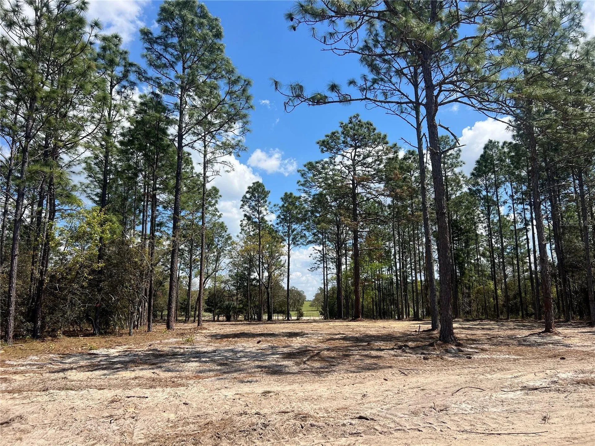 16 SE 136 Terrace Dunnellon FL 34431