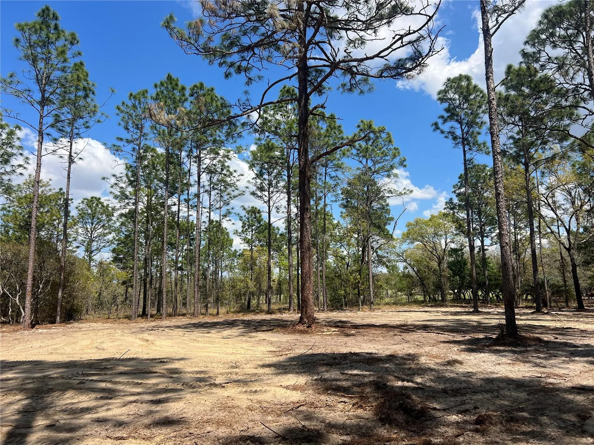 16 SE 136 Terrace Dunnellon FL 34431