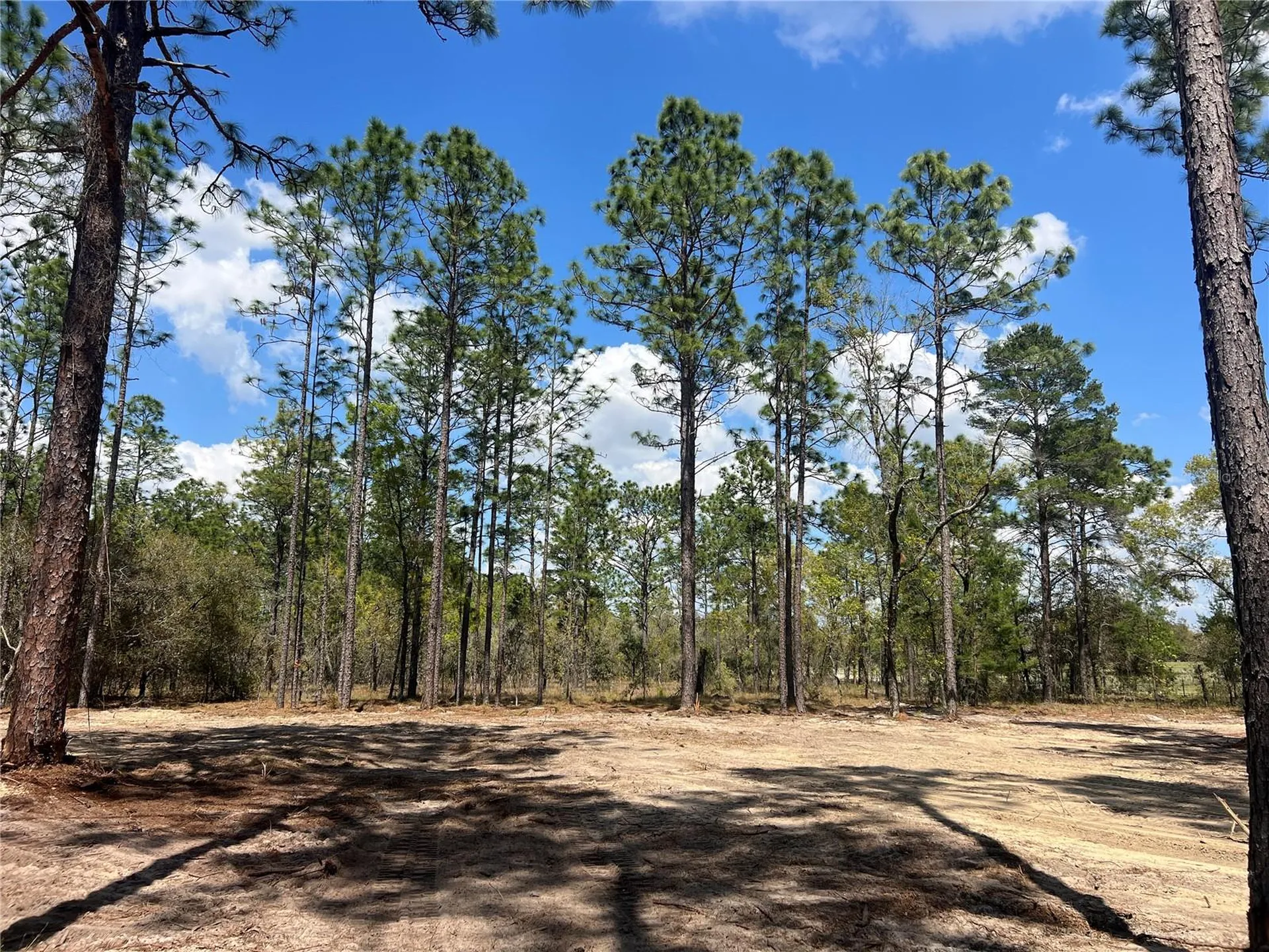 16 SE 136 Terrace Dunnellon FL 34431