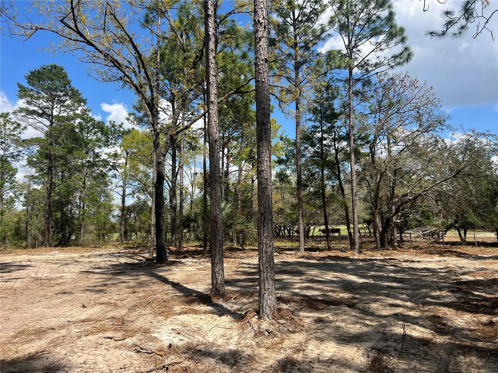 16 SE 136 Terrace Dunnellon FL 34431