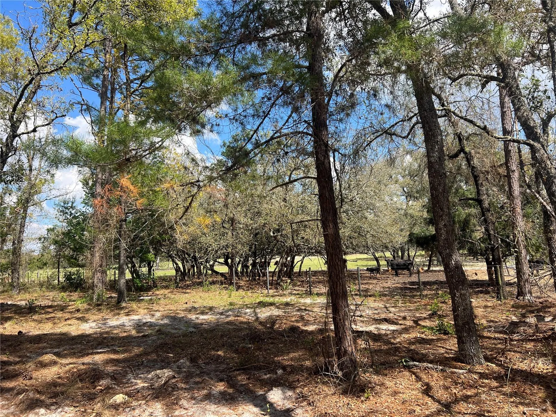 16 SE 136 Terrace Dunnellon FL 34431