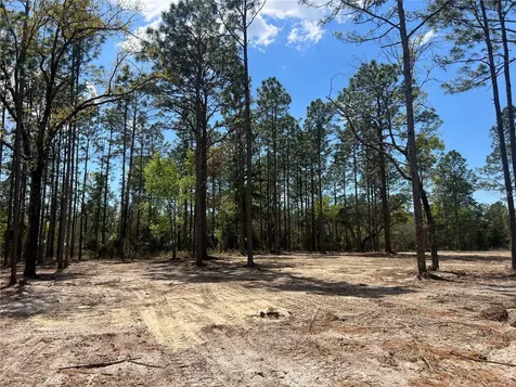 16 SE 136 Terrace Dunnellon FL 34431