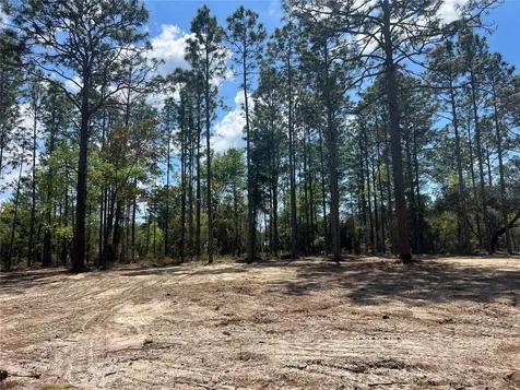 16 SE 136 Terrace Dunnellon FL 34431