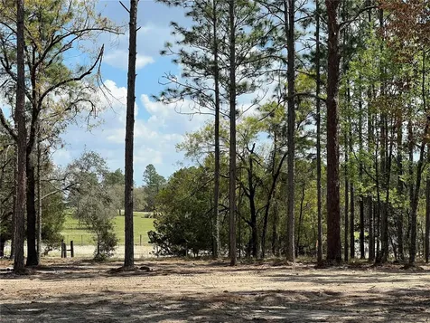 16 SE 136 Terrace Dunnellon FL 34431