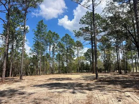16 SE 136 Terrace Dunnellon FL 34431
