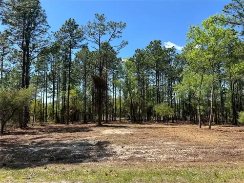 16 SE 136 Terrace Dunnellon FL 34431