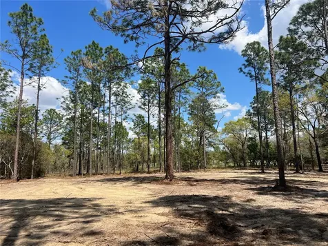 16 SE 136 Terrace Dunnellon FL 34431