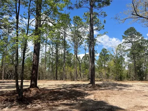 16 SE 136 Terrace Dunnellon FL 34431