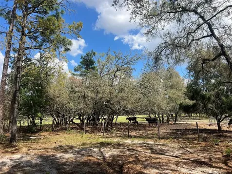 16 SE 136 Terrace Dunnellon FL 34431