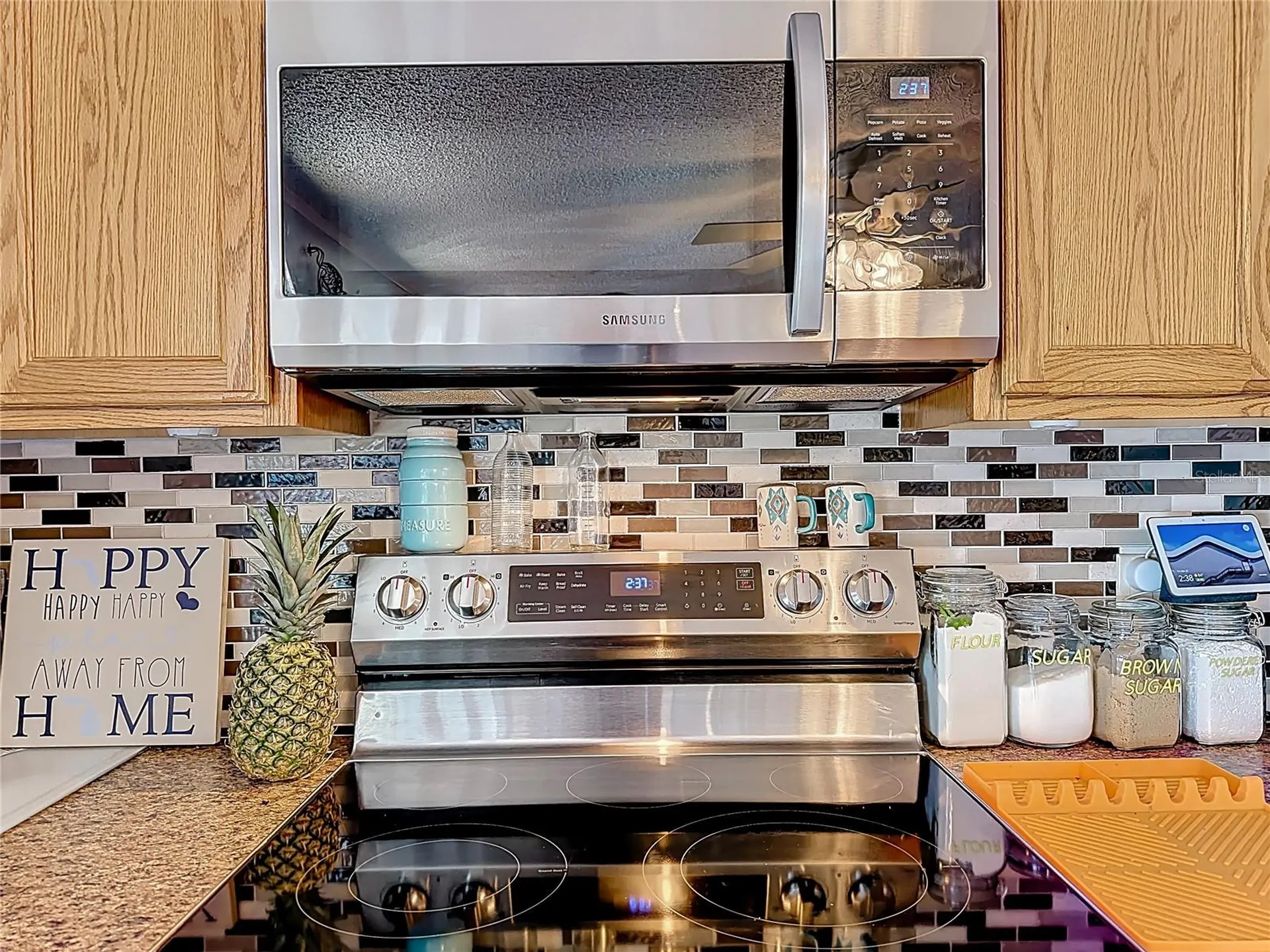 2523 Karen Drive Mount Dora FL 32757