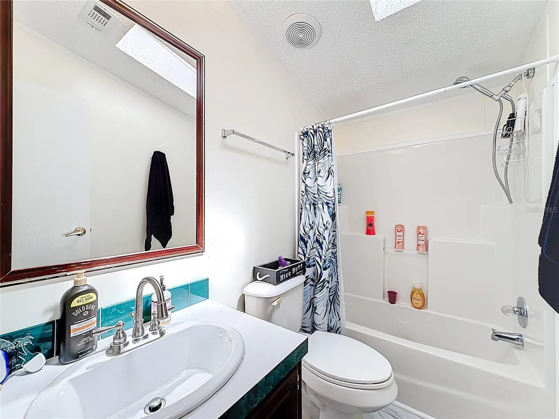 2523 Karen Drive Mount Dora FL 32757