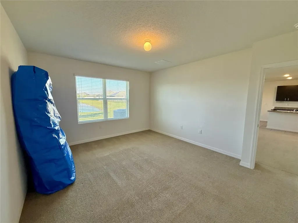 31000 Summer Sun Loop Wesley Chapel FL 33545
