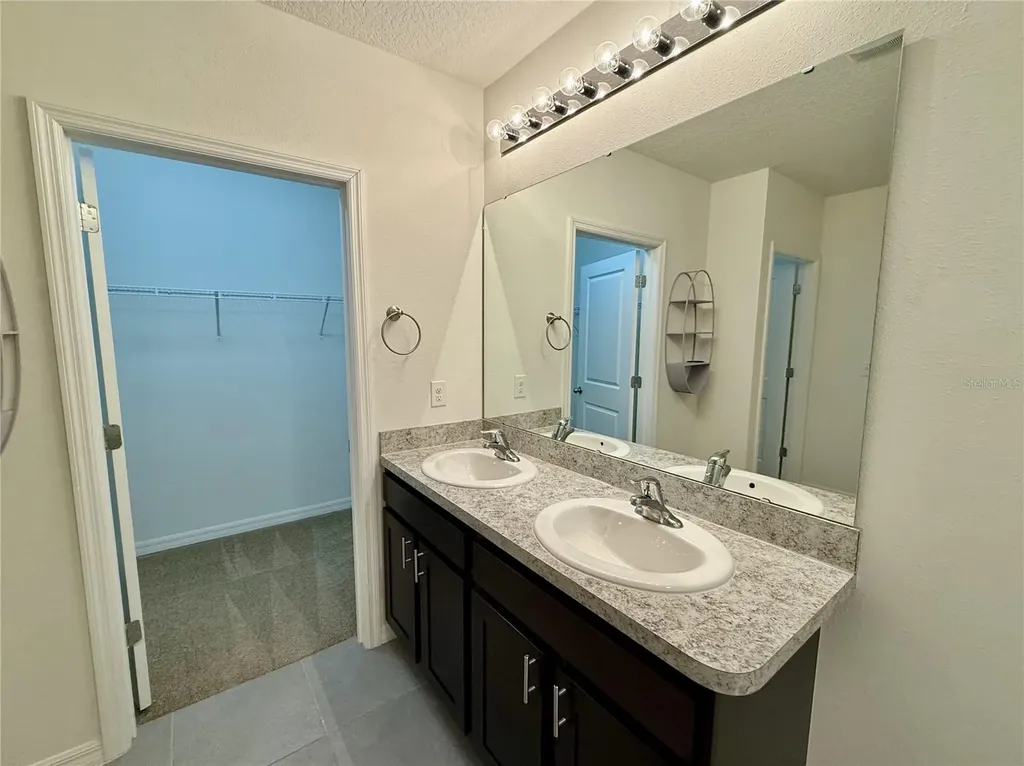 31000 Summer Sun Loop Wesley Chapel FL 33545