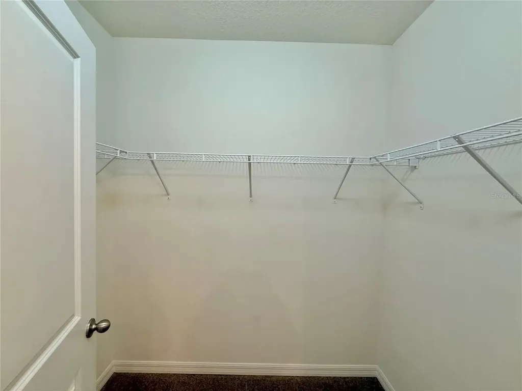 31000 Summer Sun Loop Wesley Chapel FL 33545