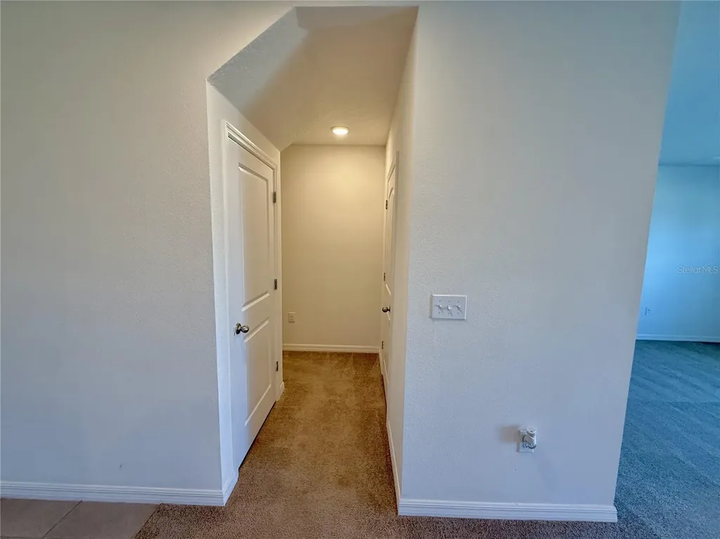 31000 Summer Sun Loop Wesley Chapel FL 33545
