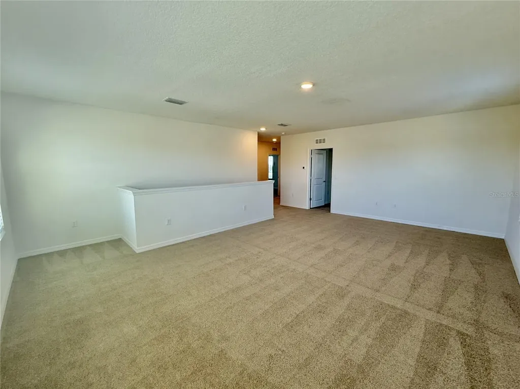 31000 Summer Sun Loop Wesley Chapel FL 33545