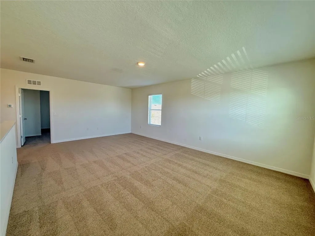 31000 Summer Sun Loop Wesley Chapel FL 33545