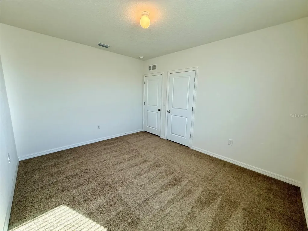 31000 Summer Sun Loop Wesley Chapel FL 33545
