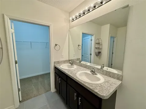 31000 Summer Sun Loop Wesley Chapel FL 33545