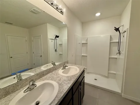 31000 Summer Sun Loop Wesley Chapel FL 33545