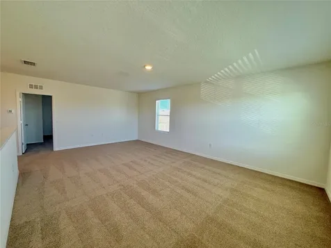 31000 Summer Sun Loop Wesley Chapel FL 33545