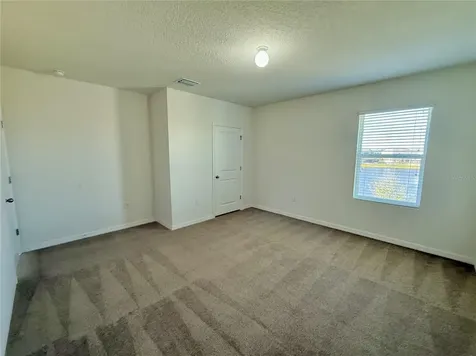 31000 Summer Sun Loop Wesley Chapel FL 33545