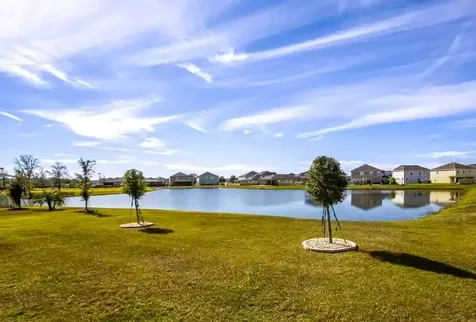 31000 Summer Sun Loop Wesley Chapel FL 33545