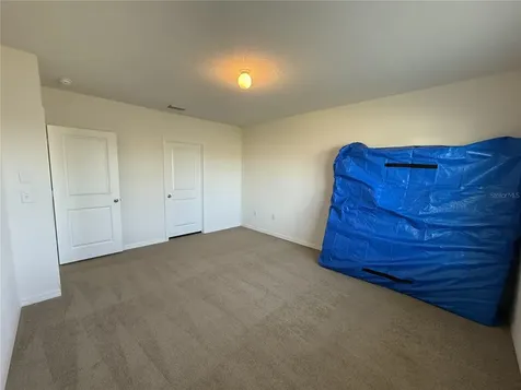 31000 Summer Sun Loop Wesley Chapel FL 33545