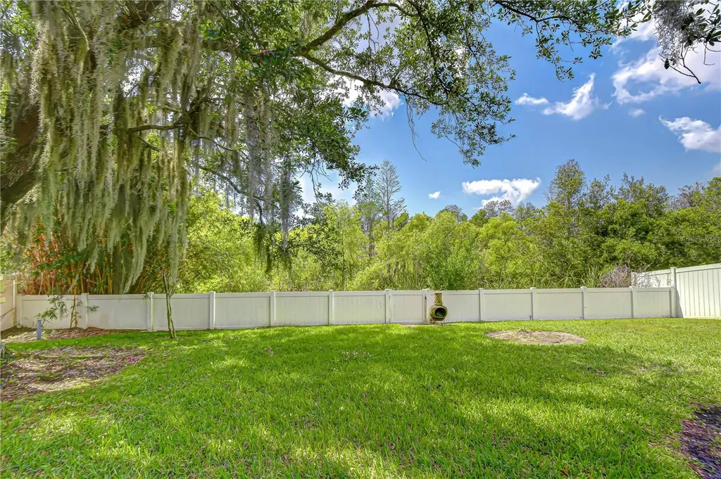 1535 Stipule Court Trinity FL 34655