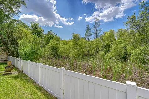 1535 Stipule Court Trinity FL 34655