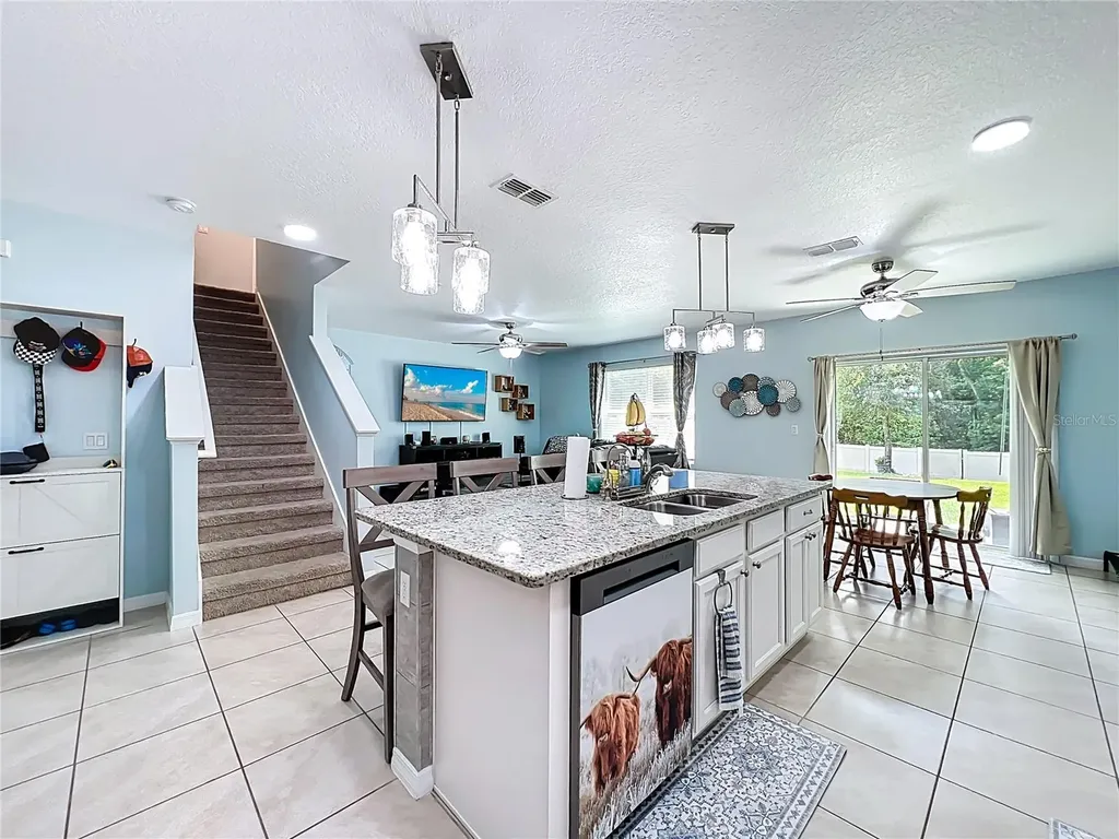 3657 Crimson Clover Drive Mount Dora FL 32757