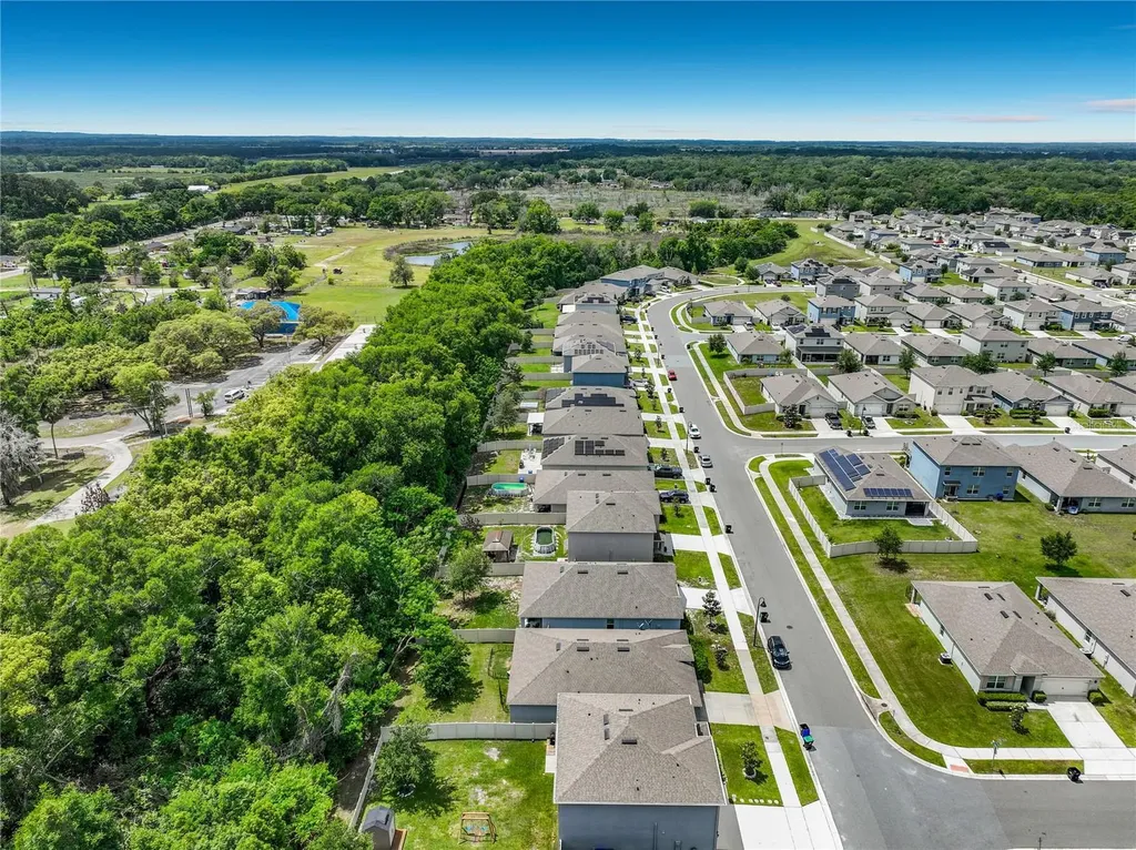 3657 Crimson Clover Drive Mount Dora FL 32757
