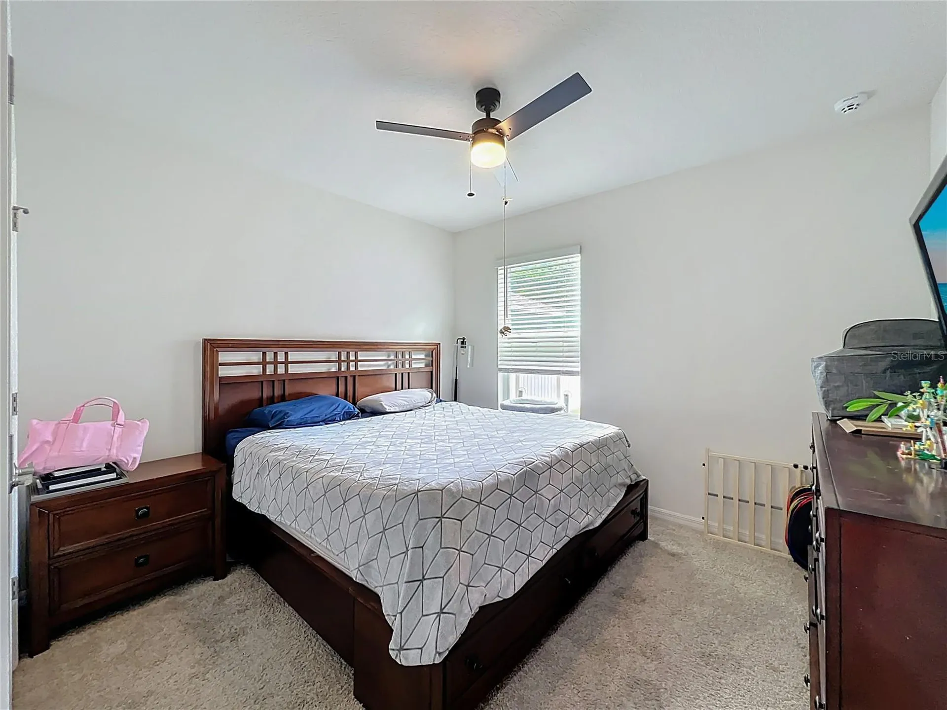 3657 Crimson Clover Drive Mount Dora FL 32757