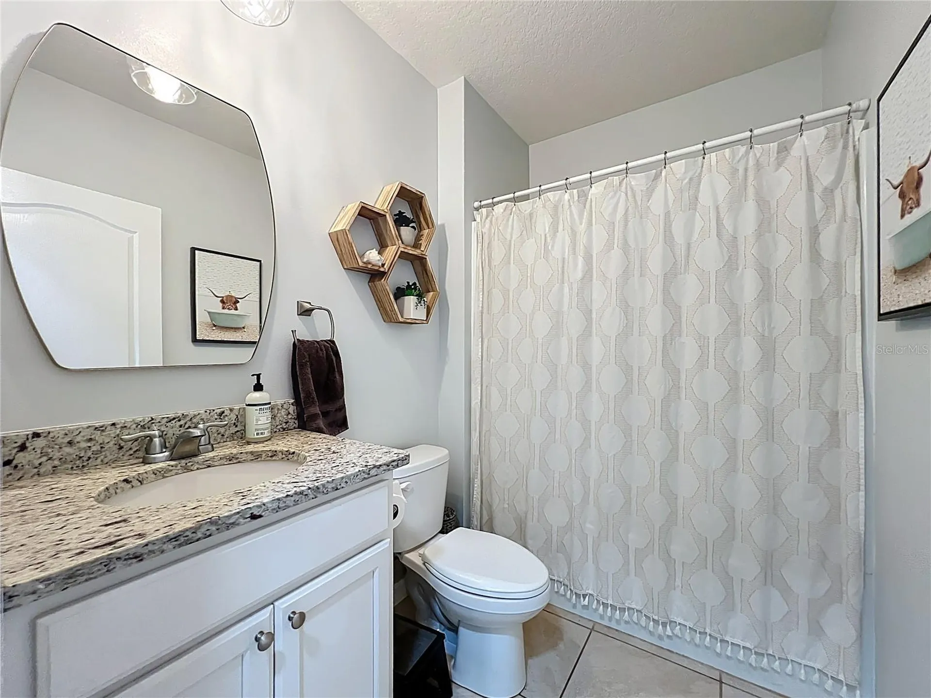 3657 Crimson Clover Drive Mount Dora FL 32757
