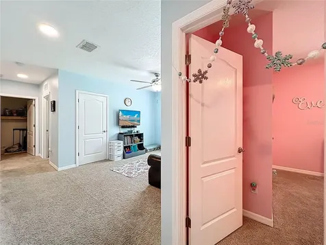 3657 Crimson Clover Drive Mount Dora FL 32757