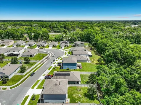 3657 Crimson Clover Drive Mount Dora FL 32757