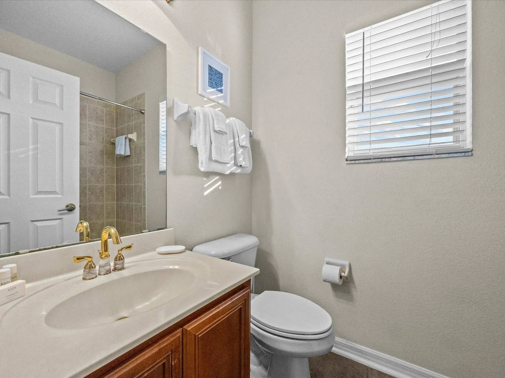 1229 Molona Street Reunion FL 34747