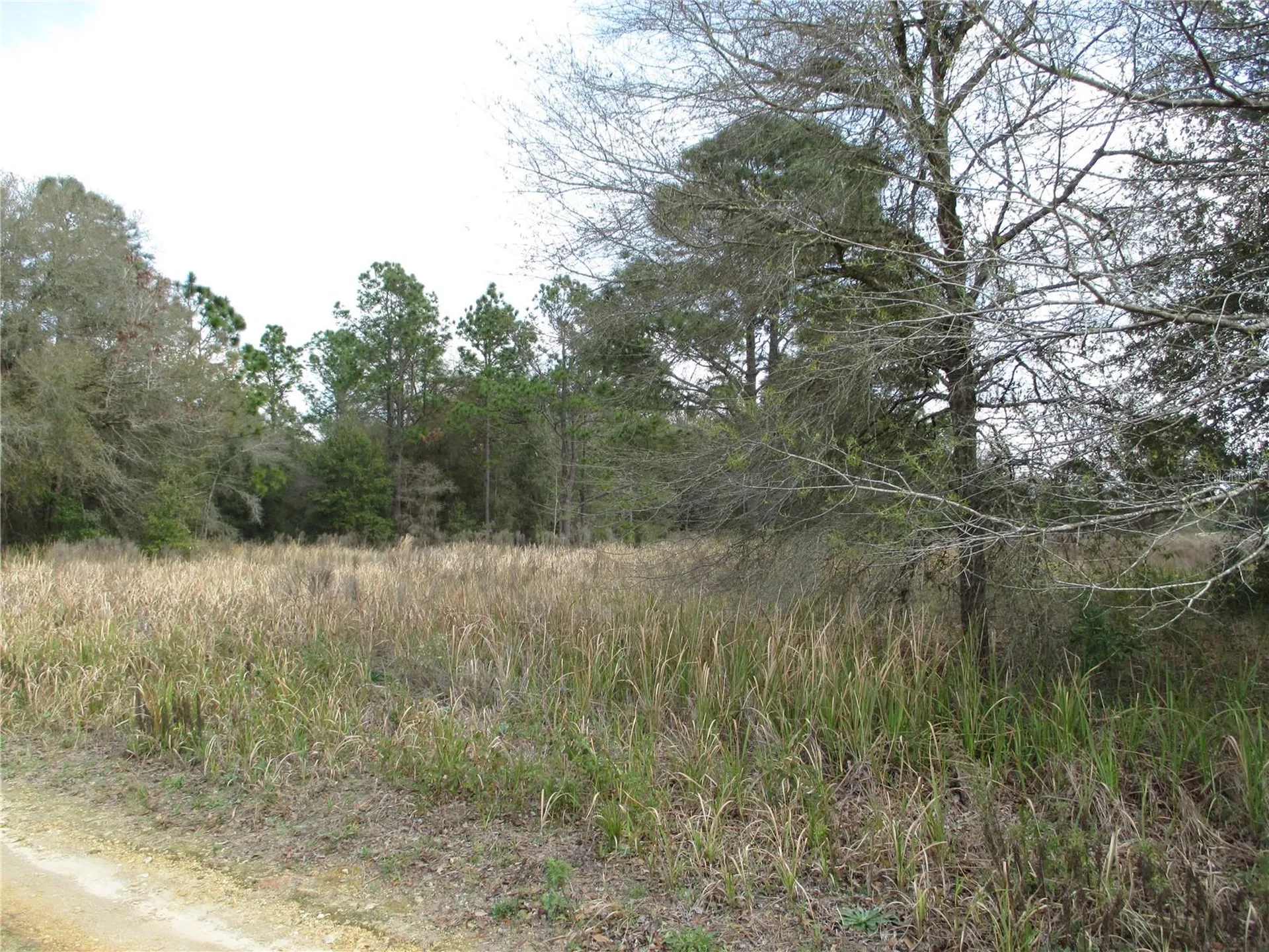 0 SW 24th Place Ocala FL 34481