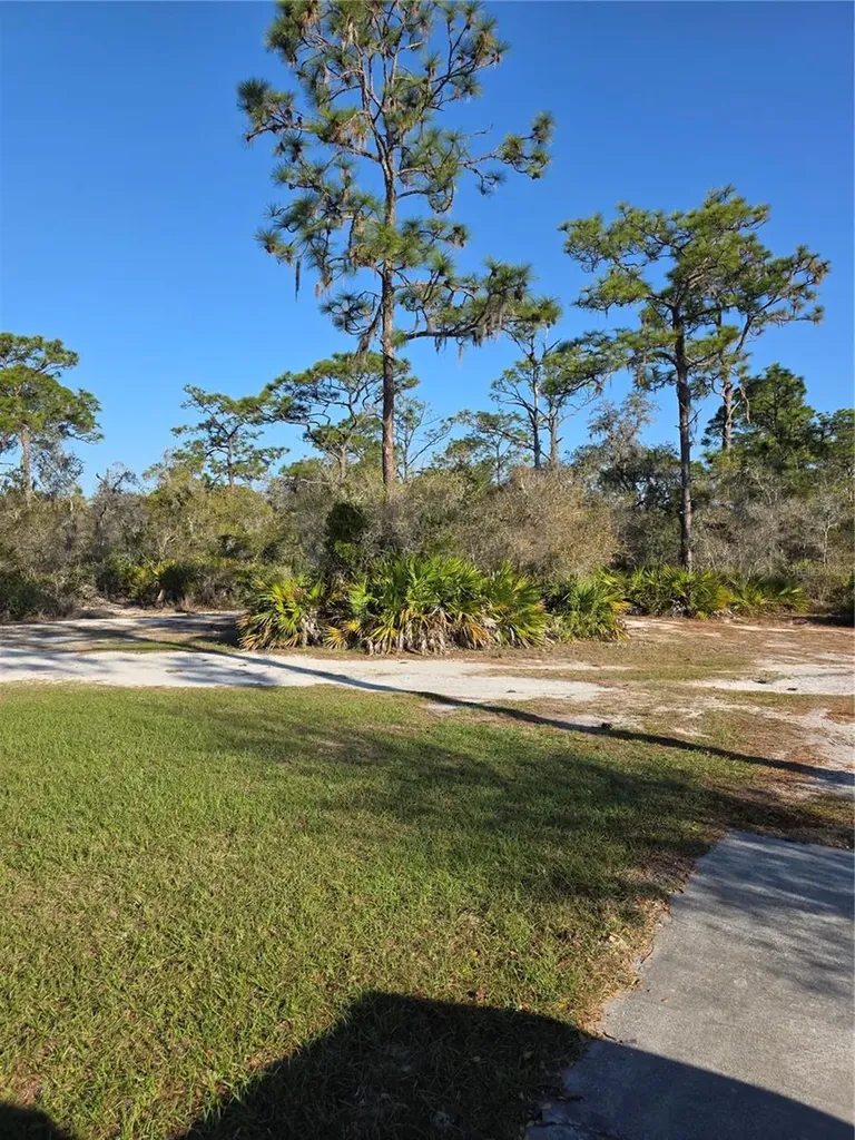 1991 Rosalie Lake Road Lake Wales FL 33898