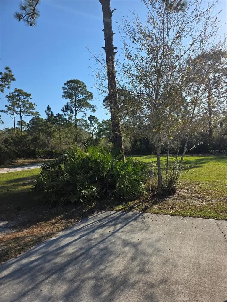 1991 Rosalie Lake Road Lake Wales FL 33898
