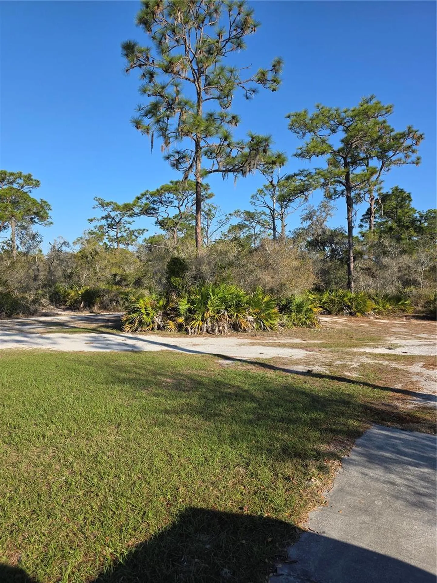1991 Rosalie Lake Road Lake Wales FL 33898