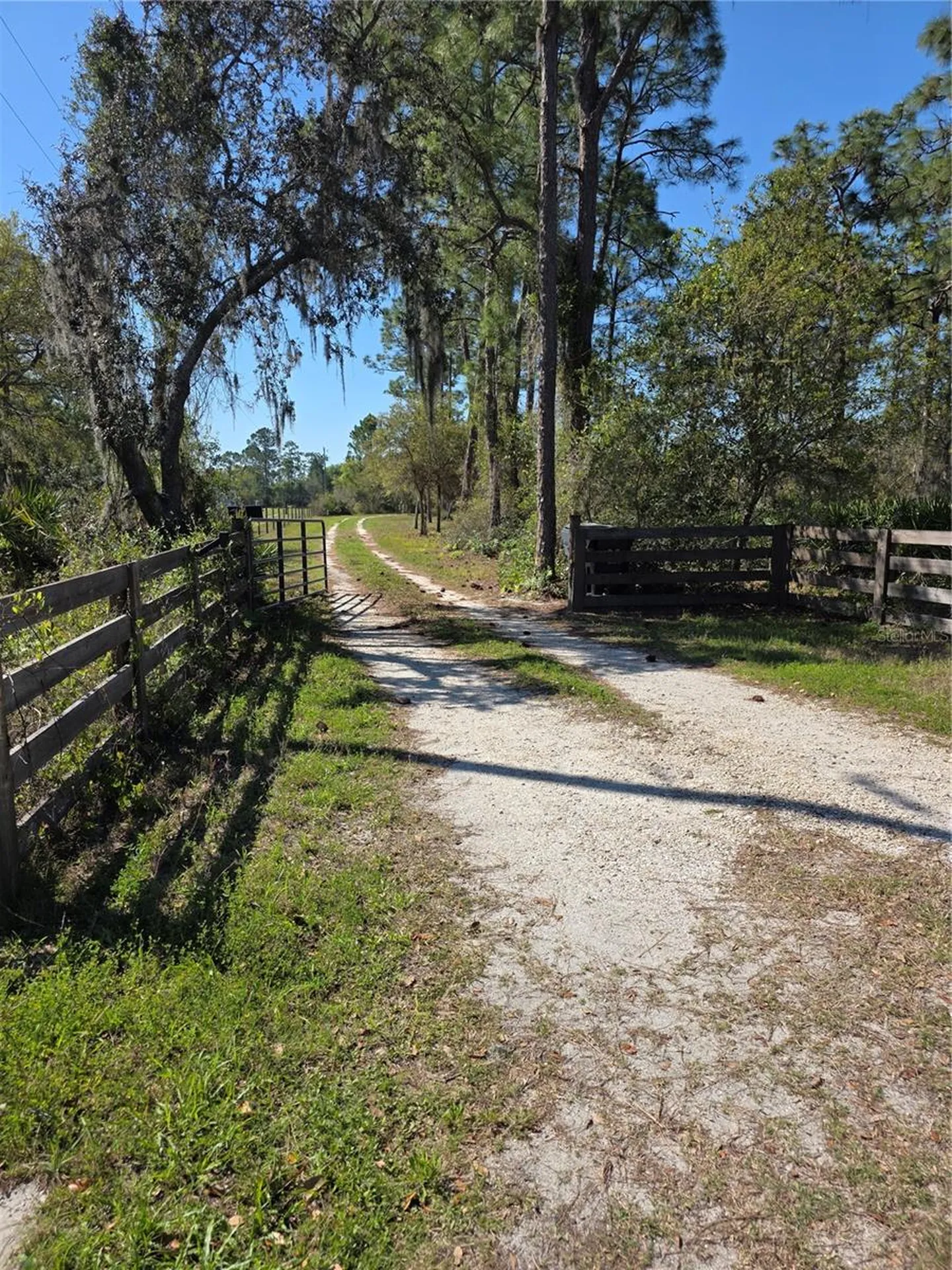 1991 Rosalie Lake Road Lake Wales FL 33898